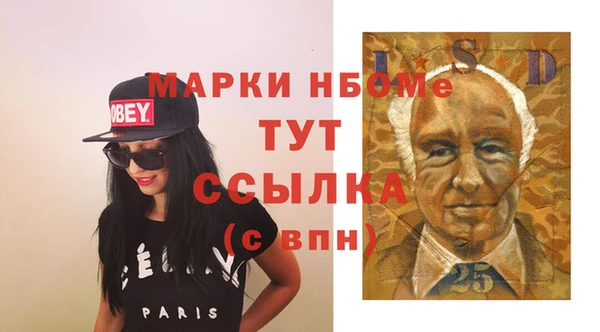 соль ск Бородино