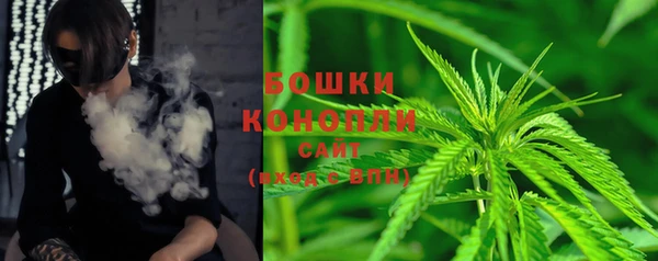 соль ск Бородино