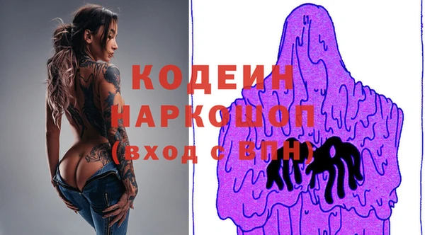 соль ск Бородино