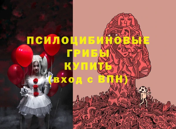 МДПВ Бронницы