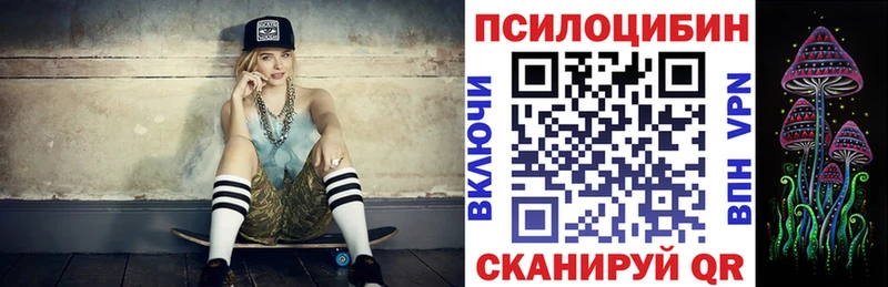 Псилоцибиновые грибы GOLDEN TEACHER  где купить наркоту  Фёдоровский 